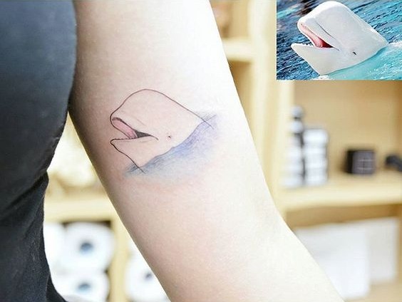 72 Ideas con Tatuajes de Delfines (+Significados) 18