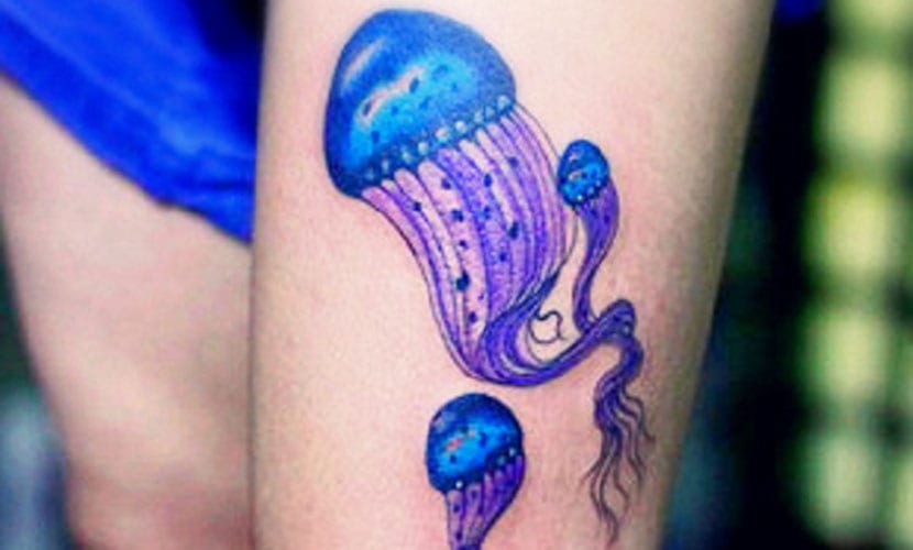 Tatuajes de Medusas: Significados e Ideas (+Leyenda) 5