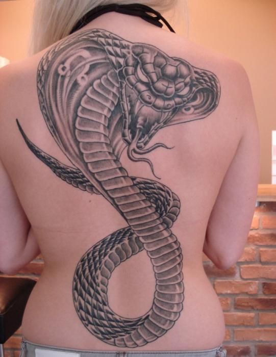 101 Ideas de Tatuajes de Serpientes y sus Significados 32