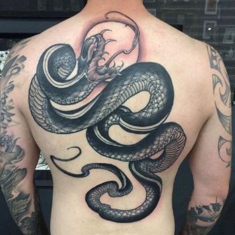 101 Ideas de Tatuajes de Serpientes y sus Significados 35