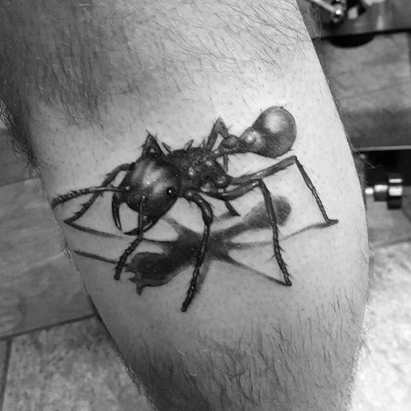 50 Especiales Tatuajes de Insectos y sus significados 17