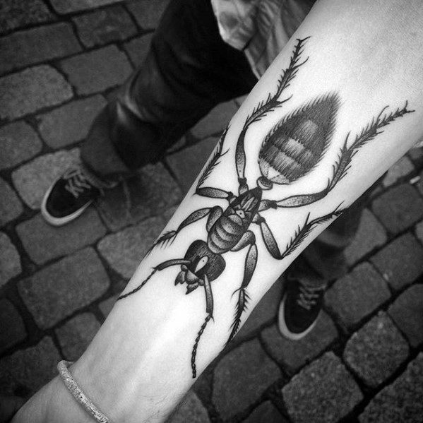 50 Especiales Tatuajes de Insectos y sus significados 19