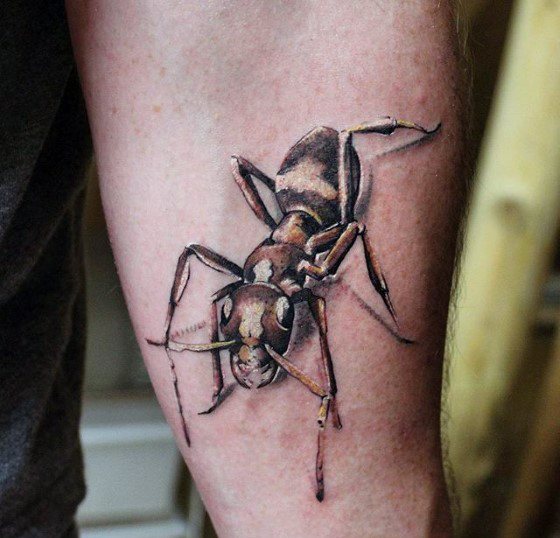 50 Especiales Tatuajes de Insectos y sus significados 22