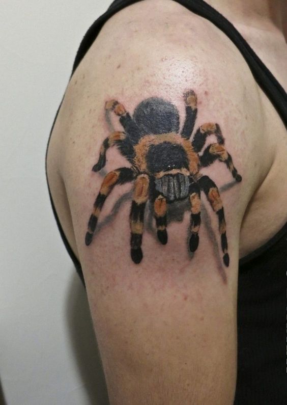 60 Tatuajes de Arañas con significados 1
