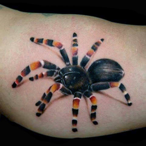 60 Tatuajes de Arañas con significados 3