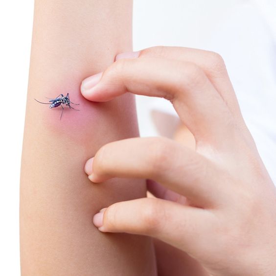 50 Especiales Tatuajes de Insectos y sus significados 35