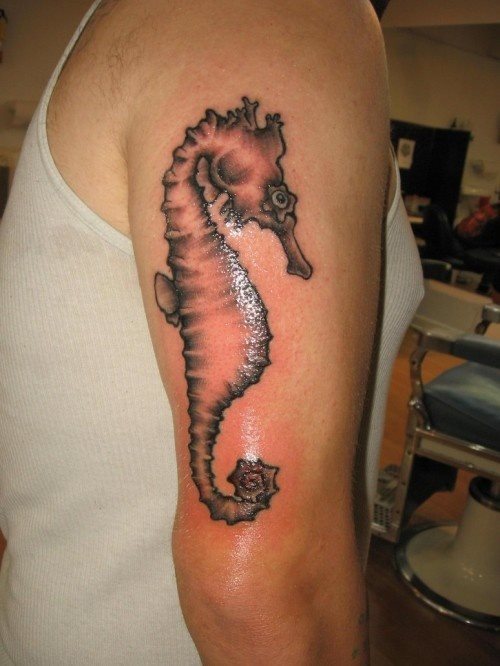 69 Ideas para Tatuajes de Caballitos de mar (+ Significado) 44
